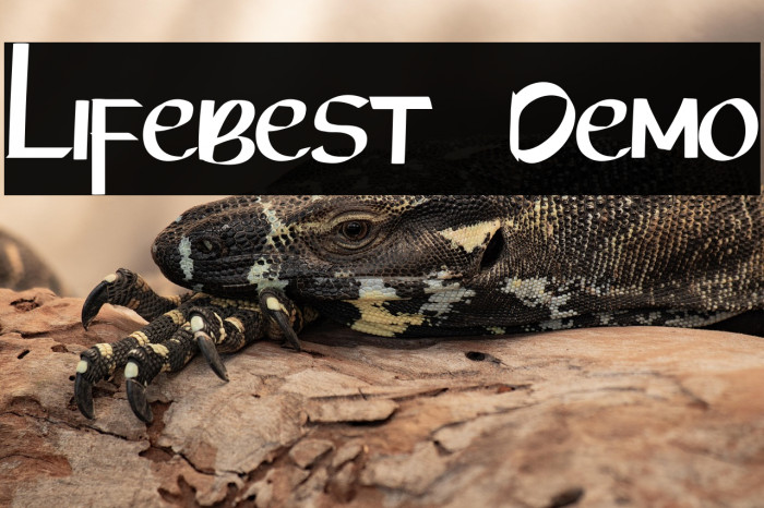 Lifebest  Demo Example 1