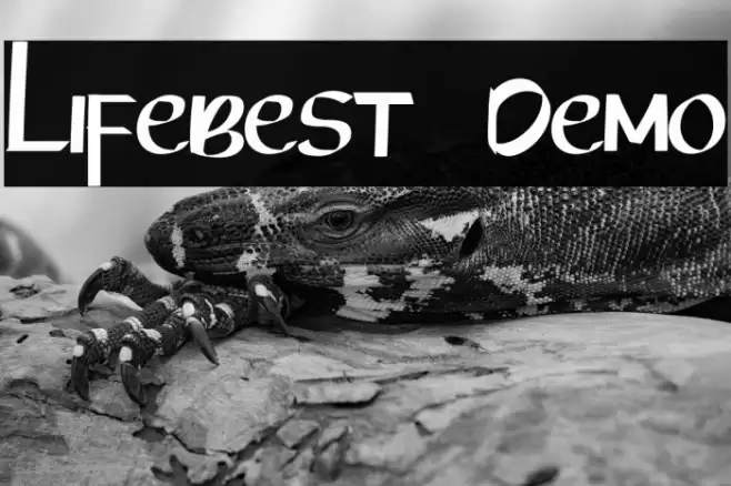 Lifebest  Demo Font examples