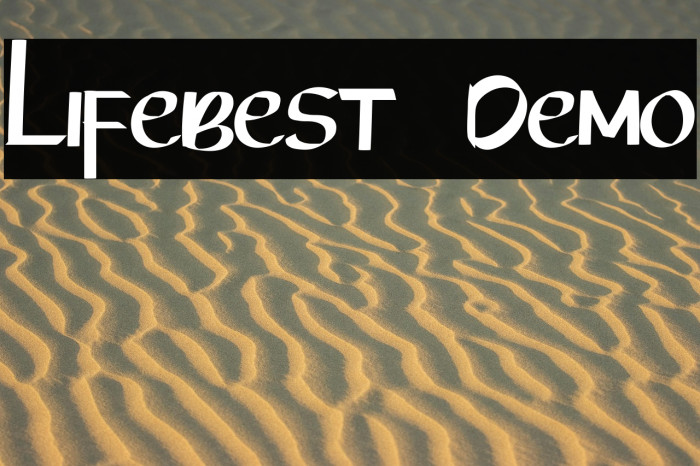 Lifebest  Demo Example 3