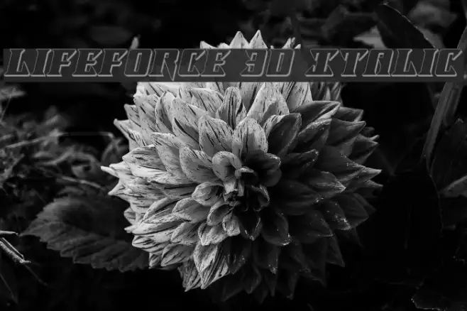 Lifeforce 3D Italic Example 3