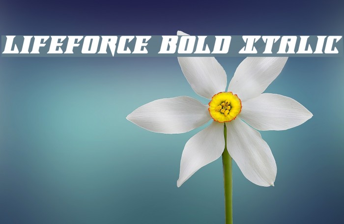 Lifeforce Bold Italic Font examples