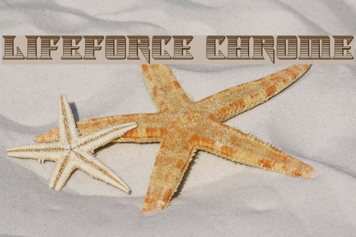 Lifeforce Chrome Example 1