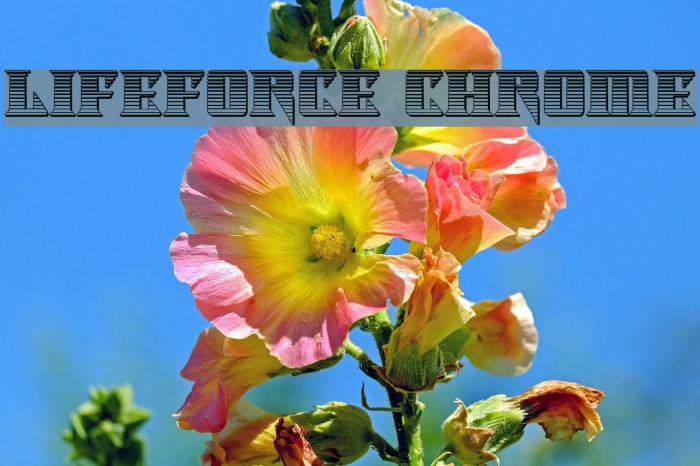 Lifeforce Chrome Example 2