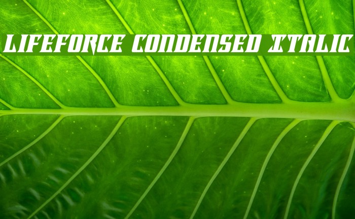 Lifeforce Condensed Italic Example 1