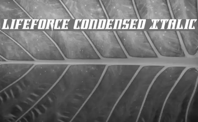 Lifeforce Condensed Italic Font examples