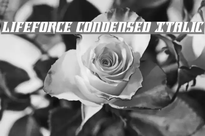 Lifeforce Condensed Italic Font examples
