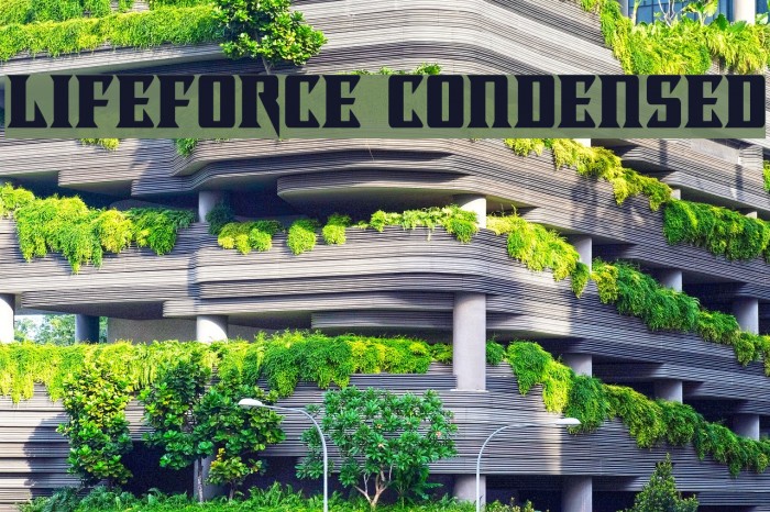 Lifeforce Condensed Font examples