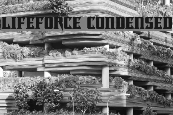 Lifeforce Condensed Example 2
