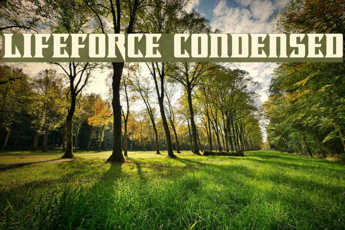Lifeforce Condensed Font examples