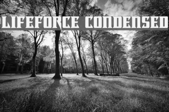 Lifeforce Condensed Example 3
