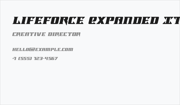 Lifeforce Expanded Italic Business Card