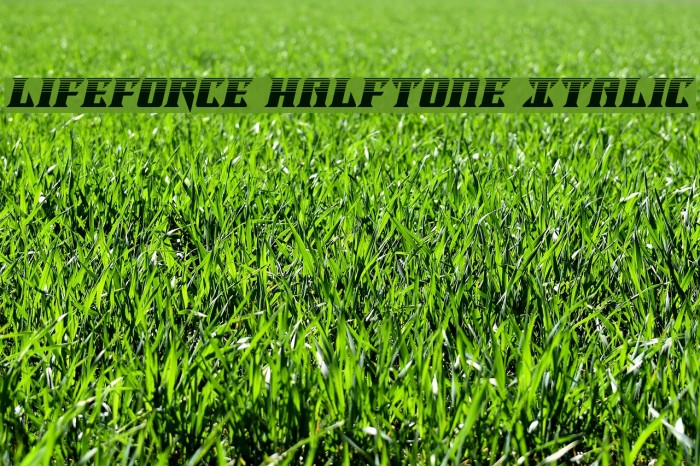 Lifeforce Halftone Italic Font examples