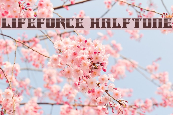 Lifeforce Halftone Font examples