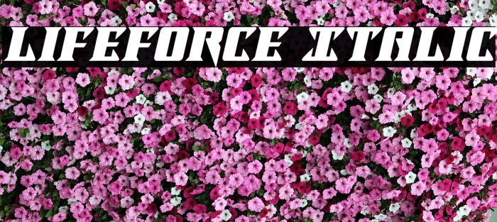 Lifeforce Italic Font examples
