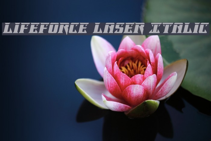 Lifeforce Laser Italic Font examples