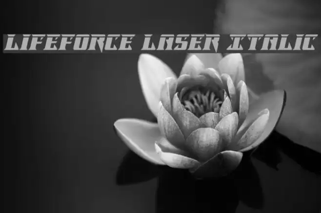Lifeforce Laser Italic Example 1