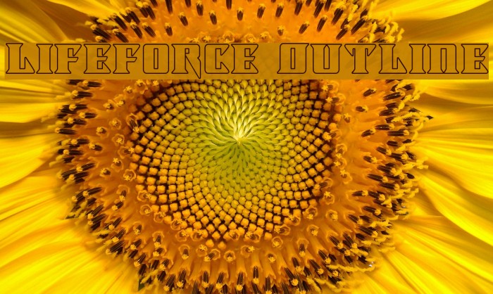 Lifeforce Outline Example 2