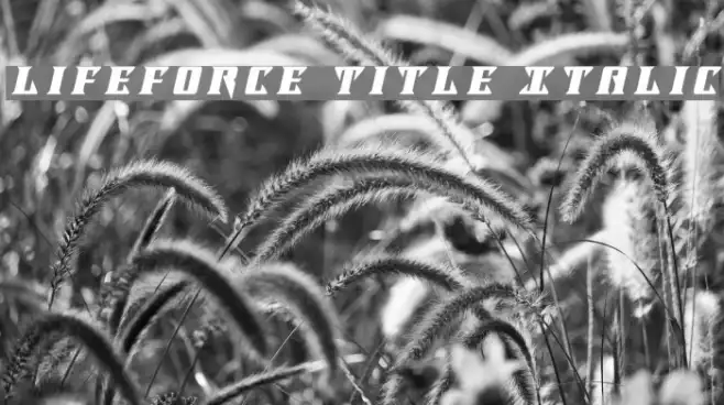 Lifeforce Title Italic Example 3
