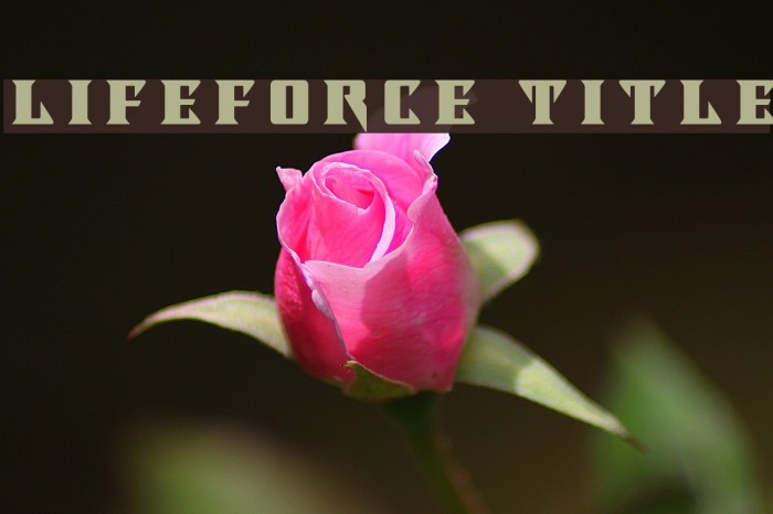 Lifeforce Title Font examples