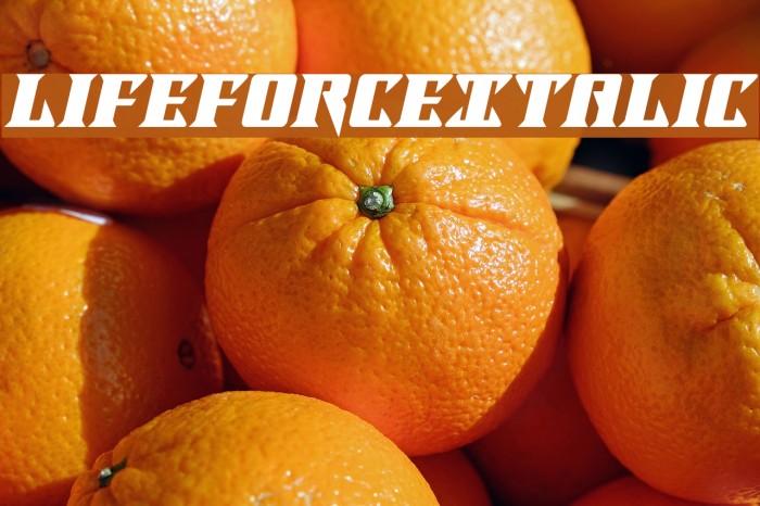 LifeforceItalic Font examples