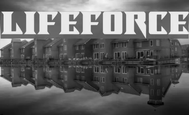 Lifeforce Example 1