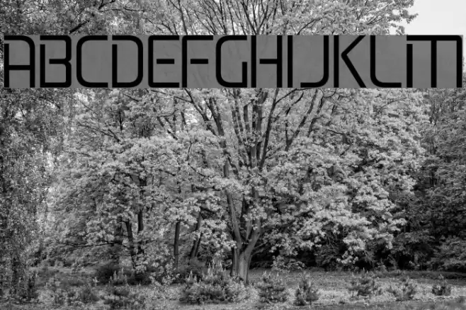 Lifeline JL Fuentes examples