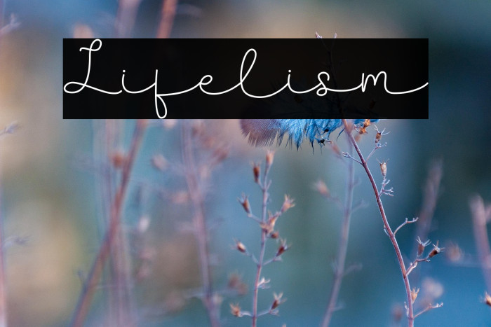Lifelism Example 1