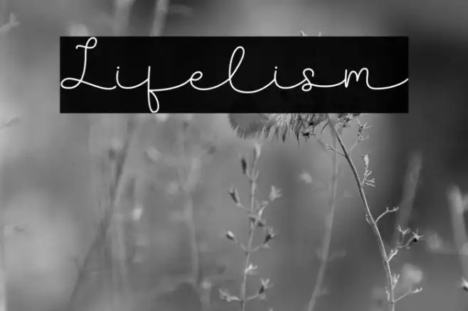Lifelism Example 1