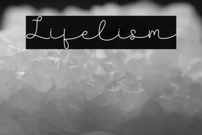 Lifelism Example 3