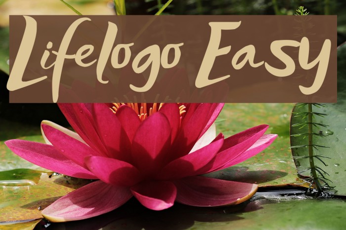 Lifelogo Easy Font examples