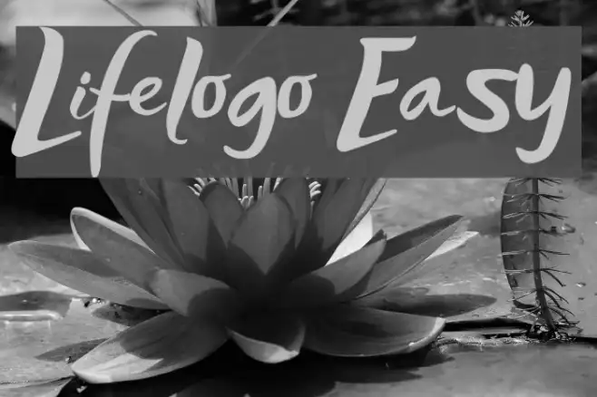 Lifelogo Easy Example 3