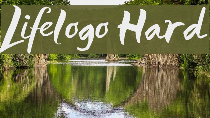 Lifelogo Hard Polices examples