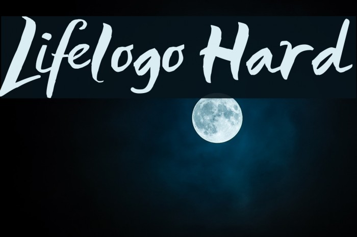 Lifelogo Hard Polices examples