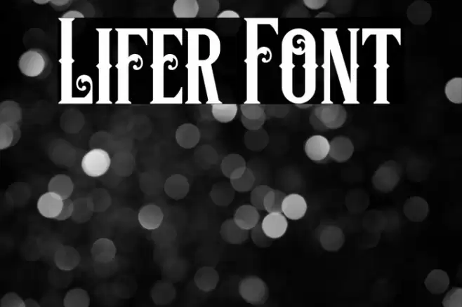 Lifer Font examples