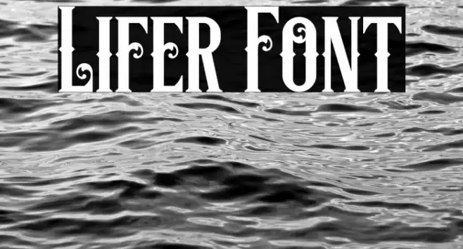 Lifer Font examples
