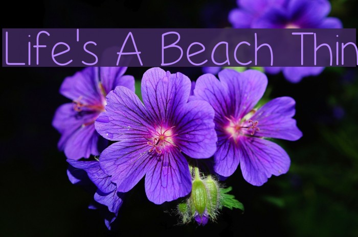 Life's A Beach Thin Font examples