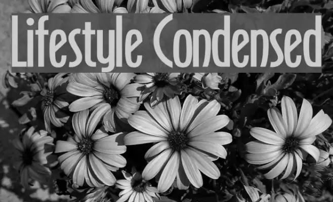 Lifestyle Condensed Font examples