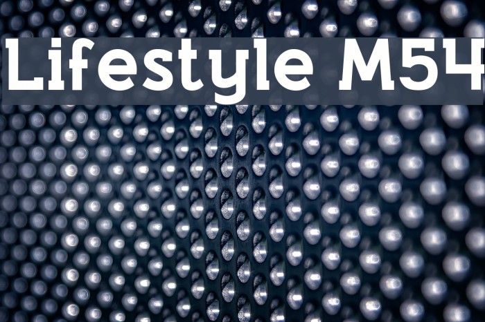 Lifestyle M54 Example 2