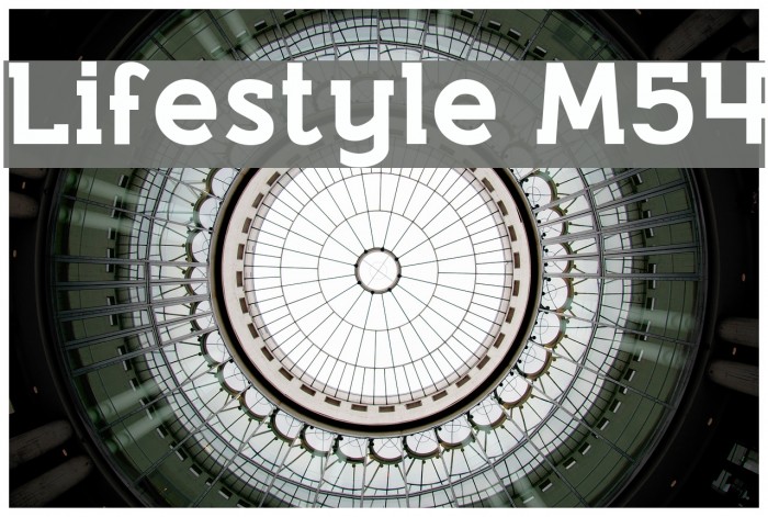 Lifestyle M54 Example 3