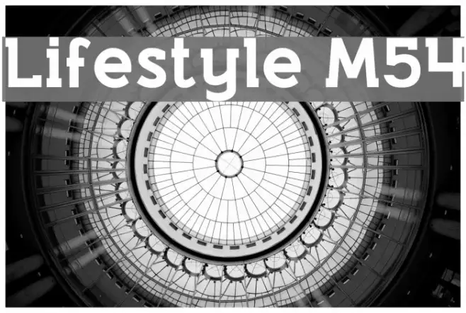 Lifestyle M54 Example 3