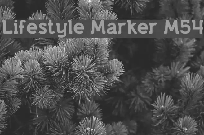 Lifestyle Marker M54 Font examples