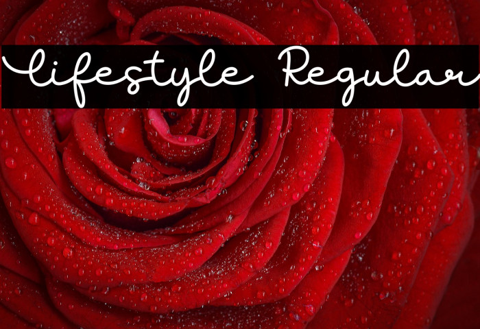 Lifestyle Regular Example 3