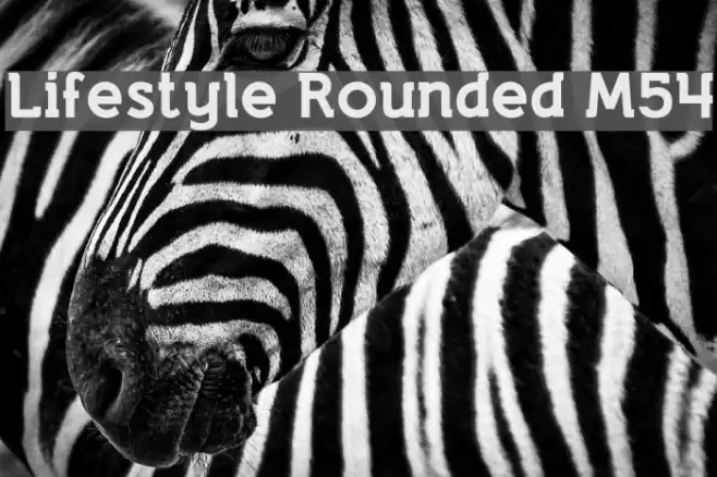 Lifestyle Rounded M54 Font examples