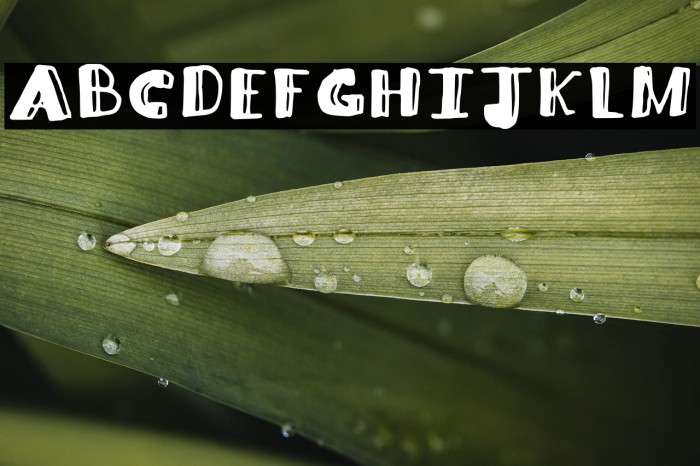 Lifted Lines Regular Example 1