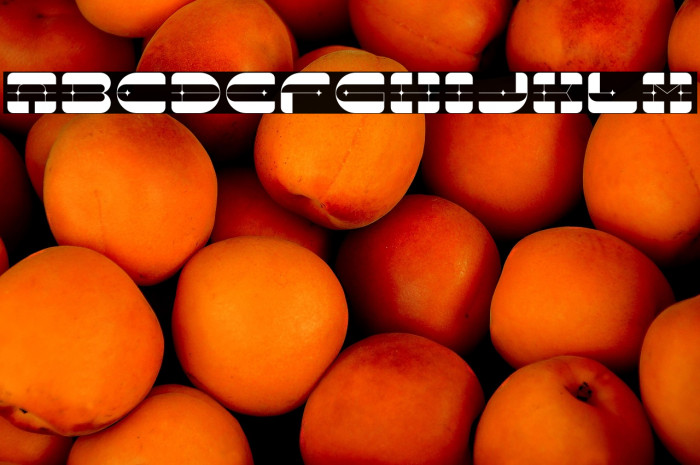 LiganoDemo-Regular Example 2