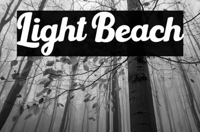 Light Beach Font examples