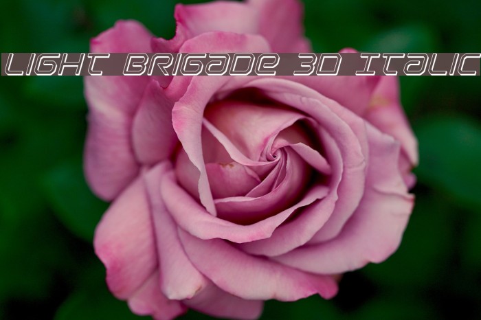 Light Brigade 3D Italic Font examples