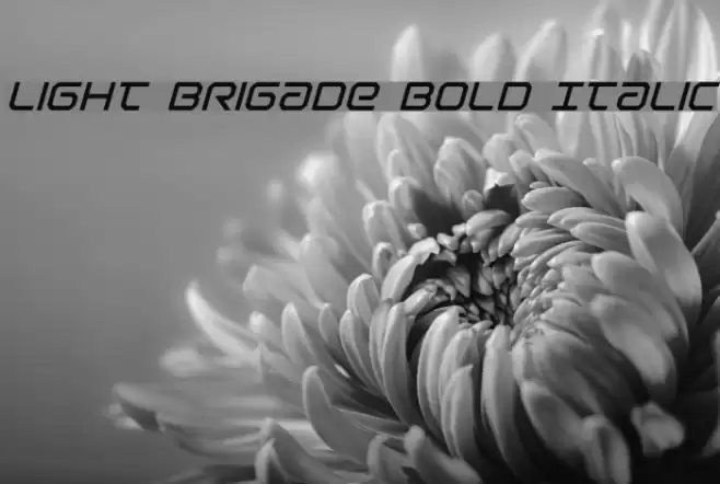 Light Brigade Bold Italic Font examples