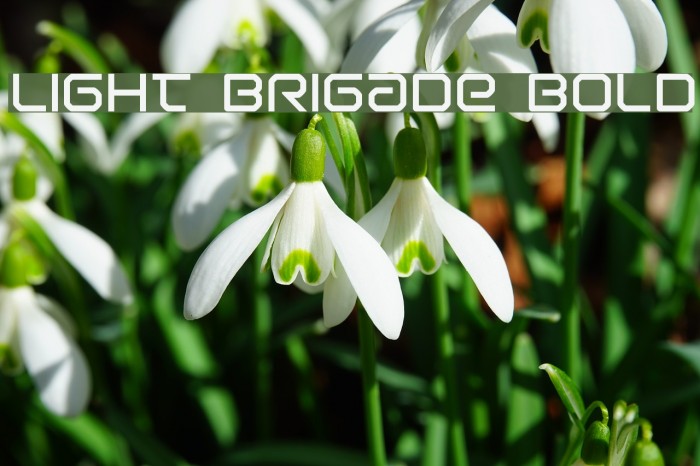 Light Brigade Bold Font examples