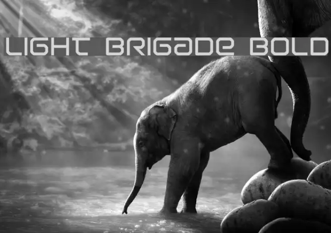 Light Brigade Bold Example 2